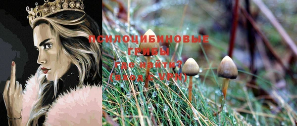 трава Медногорск