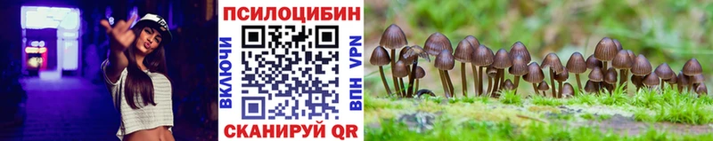 Купить  Дегтярск  Галлюциногенные грибы мицелий 